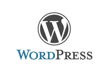 Wordpress Websites